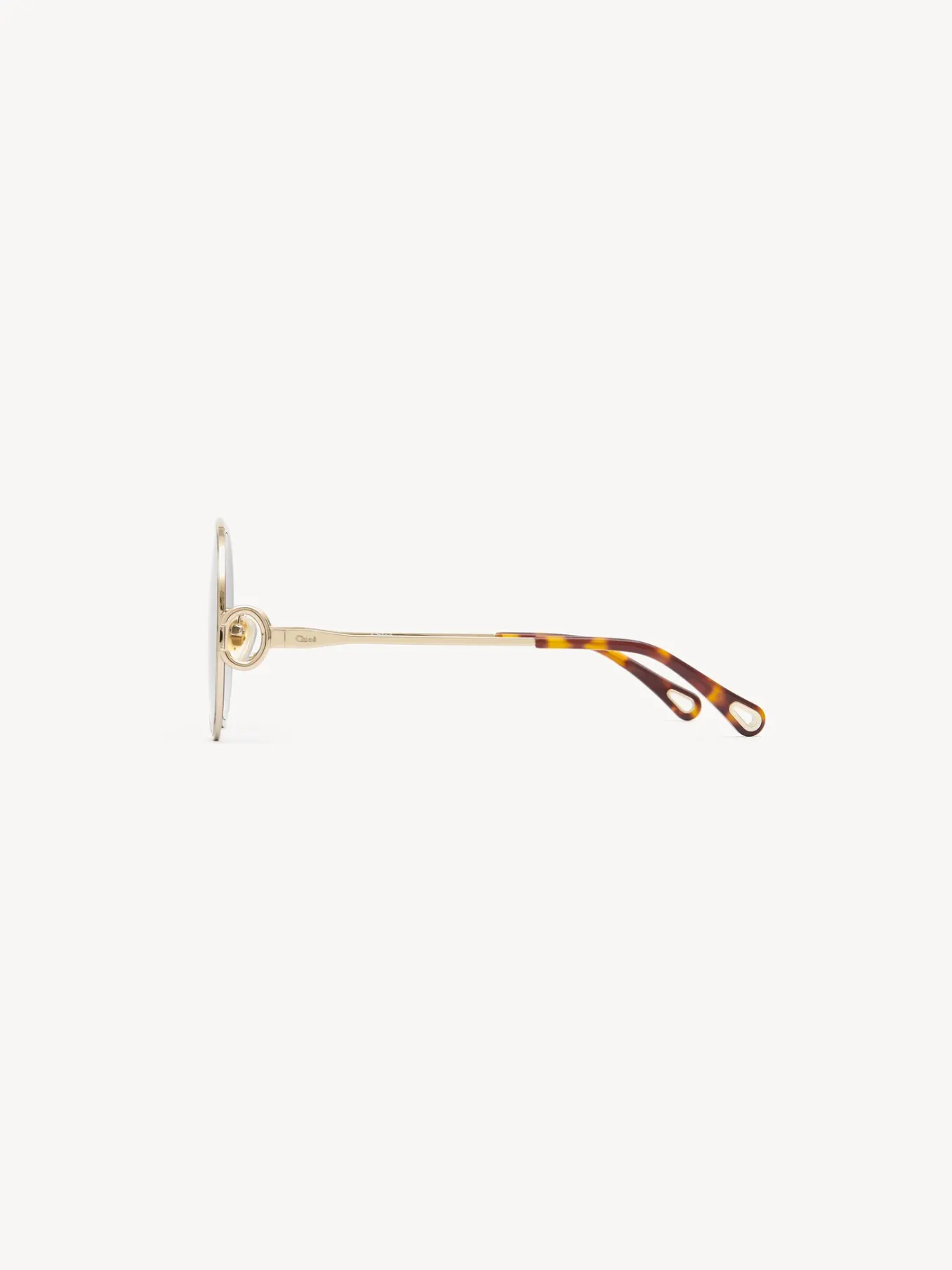 Women Chloé Austine Sunglasses