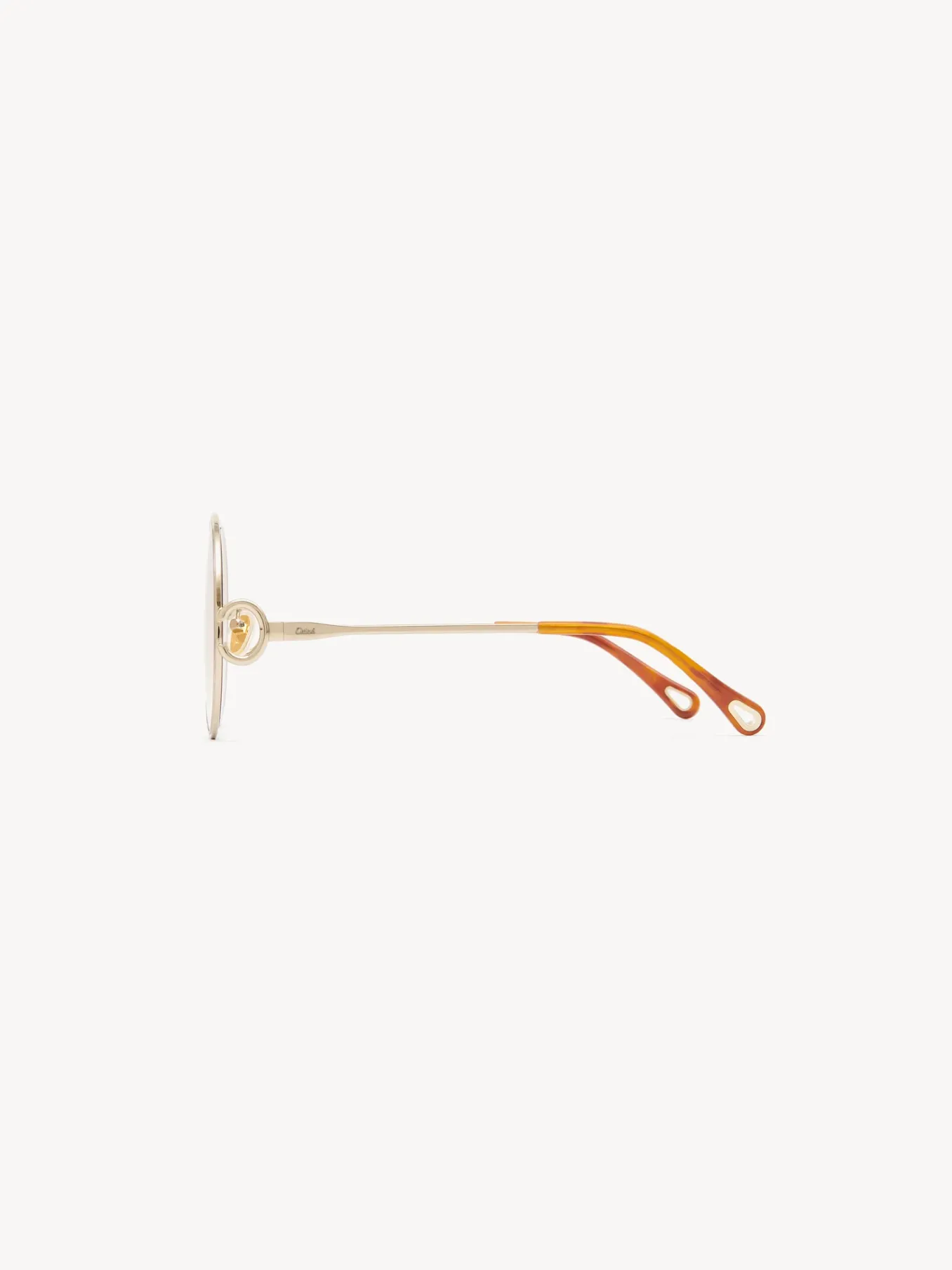 Women Chloé Austine Sunglasses