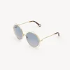 Women Chloé Carlina Petite Sunglasses