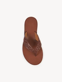 Women Chloé Chloe X Eres Paz Flat Sandal