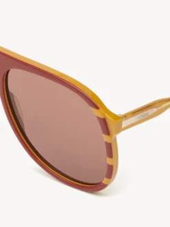 Women Chloé Dannie Sunglasses