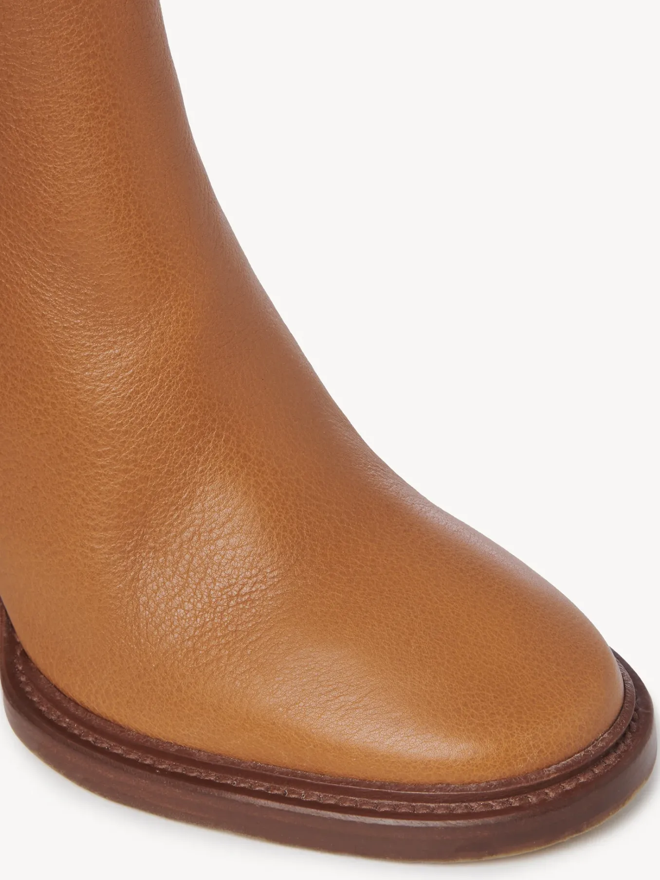 Women Chloé Edith Ankle Boot