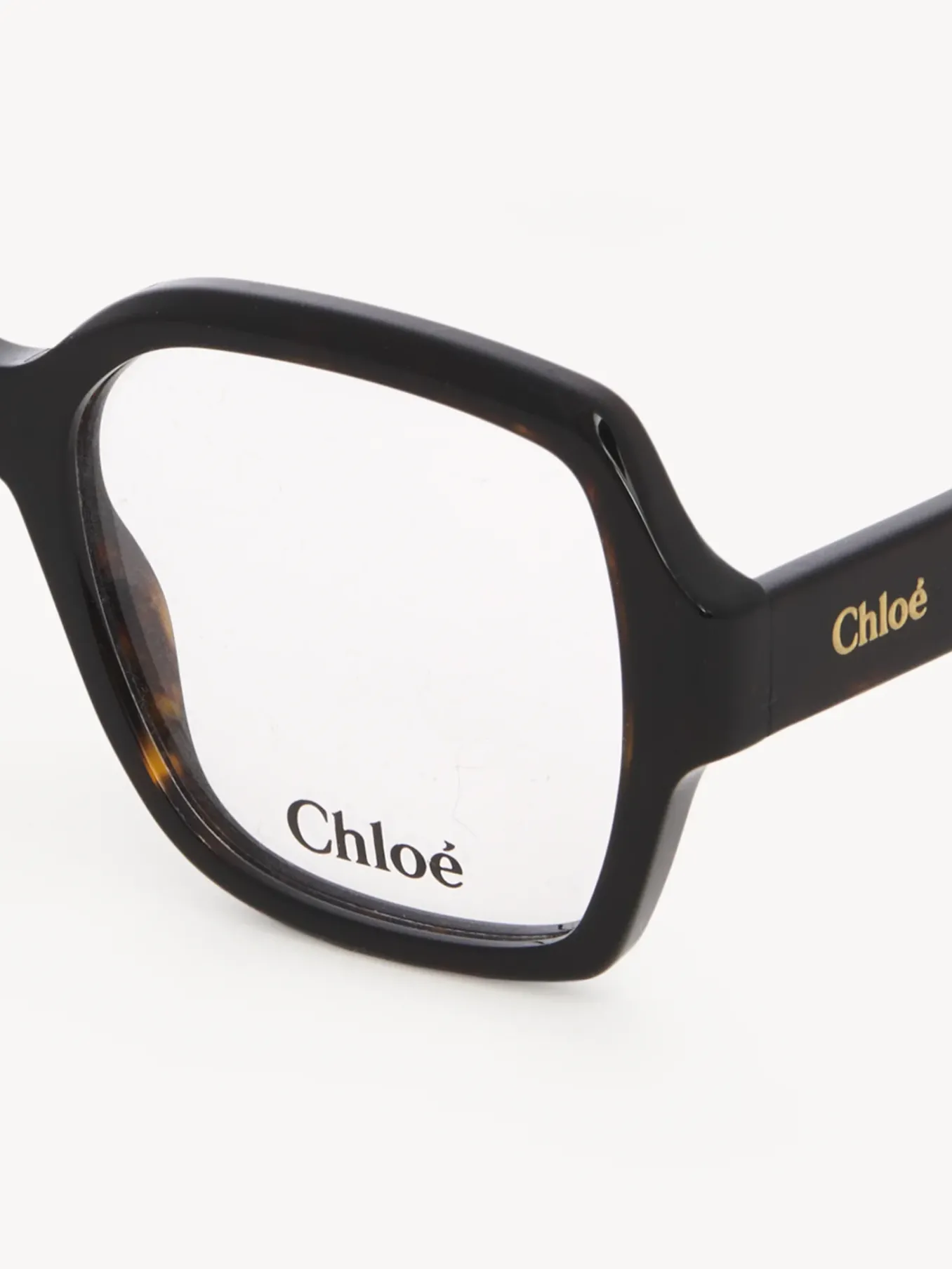 Women Chloé Gayia Eyeglasses