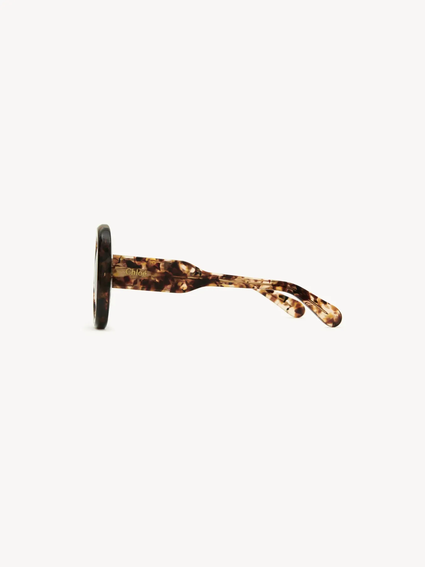 Women Chloé Gayia Sunglasses