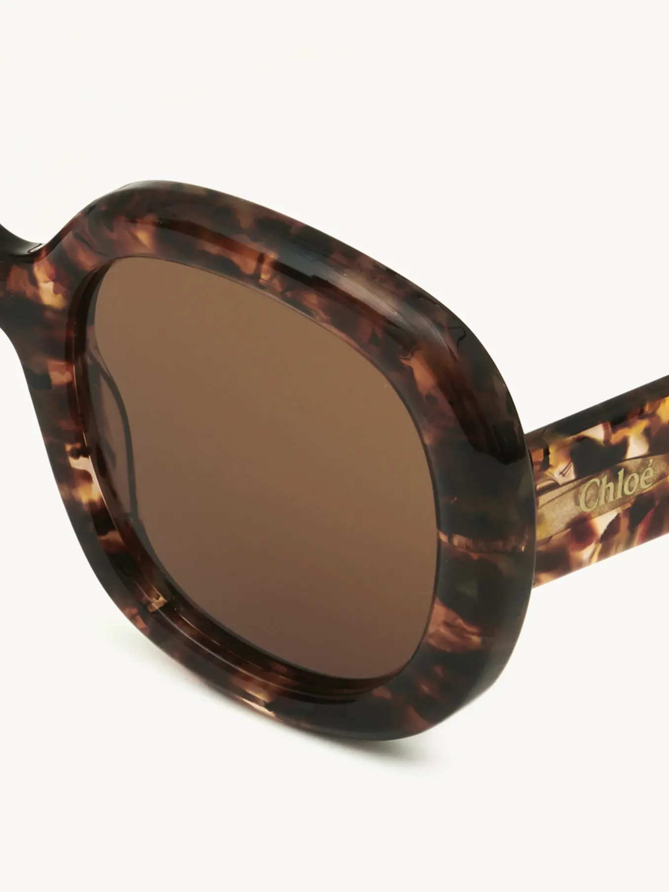 Women Chloé Gayia Sunglasses