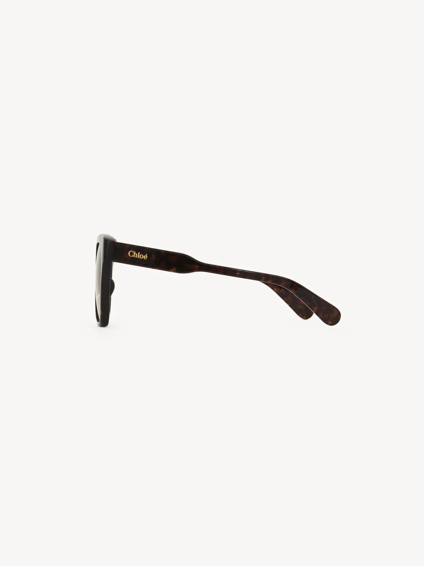Women Chloé Gayia Sunglasses