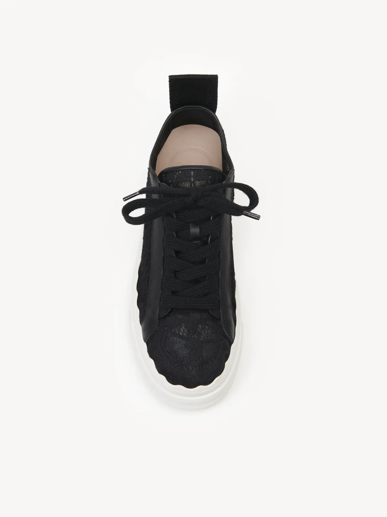 Women Chloé Lauren Sneaker