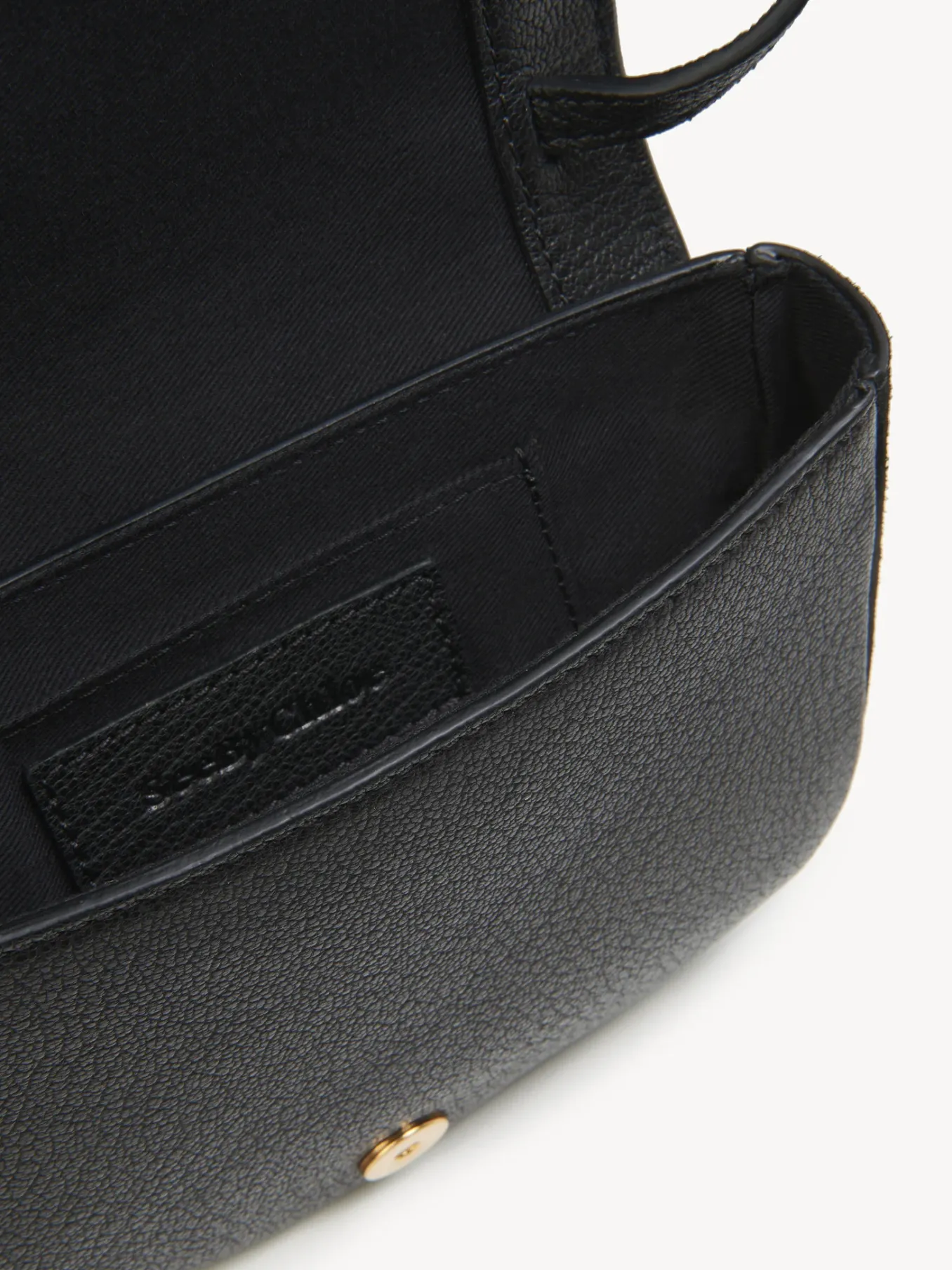 Women Chloé Mini Hana Bag