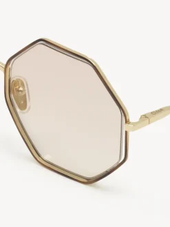 Women Chloé Poppy Petite Sunglasses