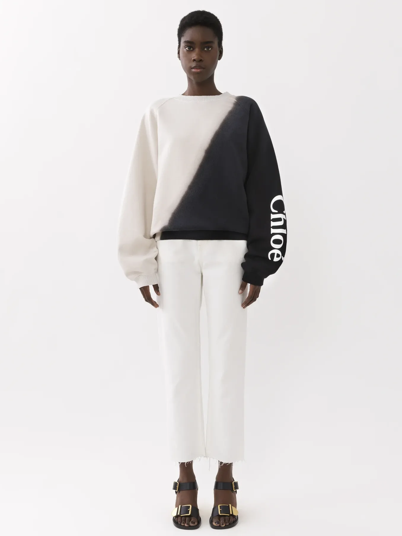 Women Chloé Printed Jumper