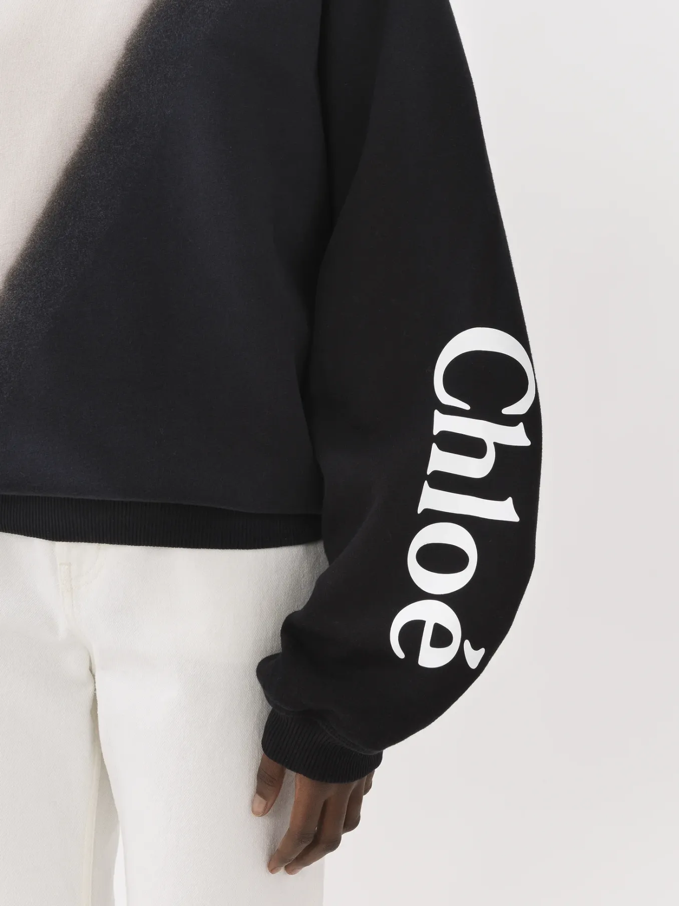 Women Chloé Printed Jumper