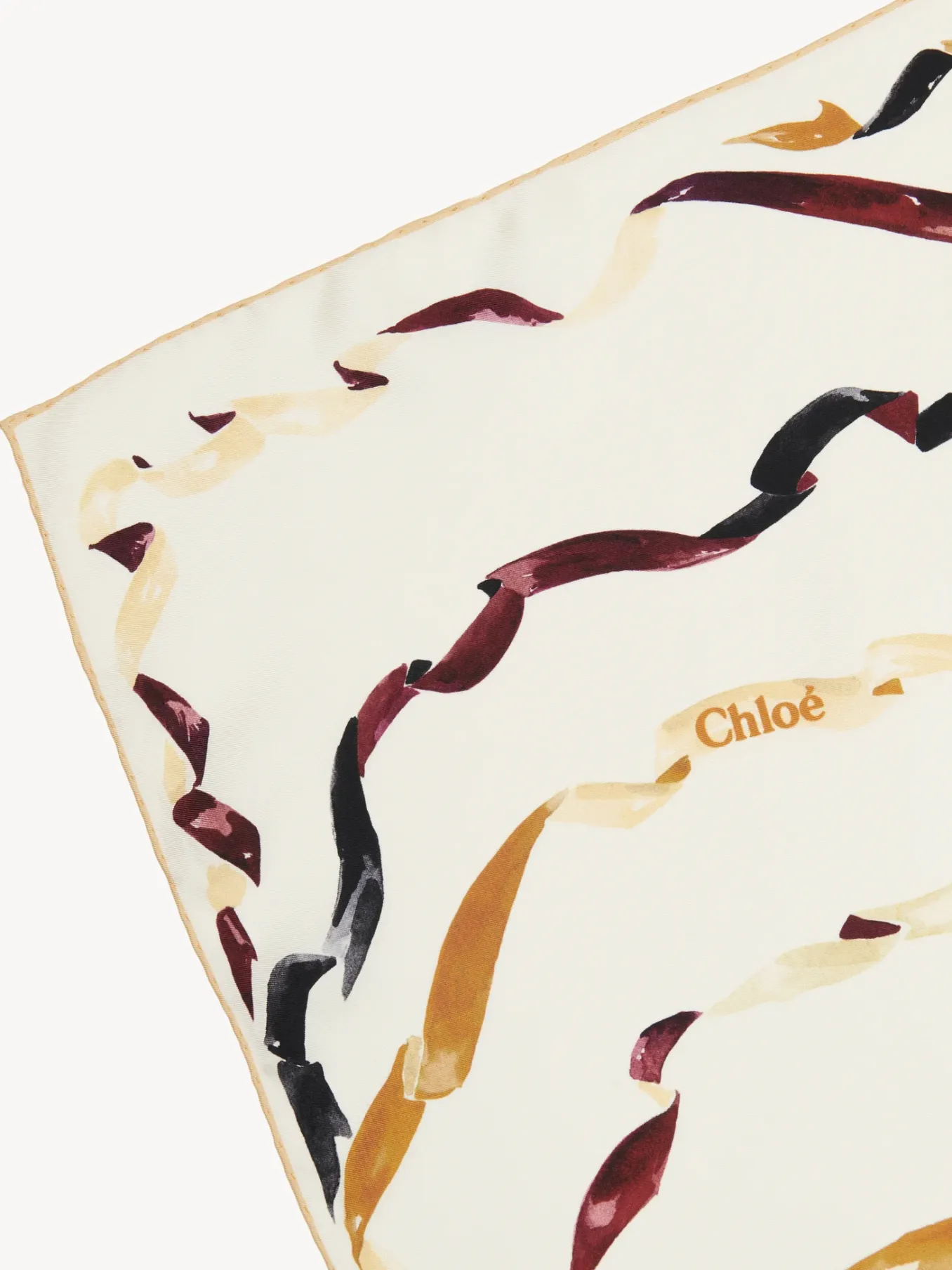 Women Chloé Printed Scarf