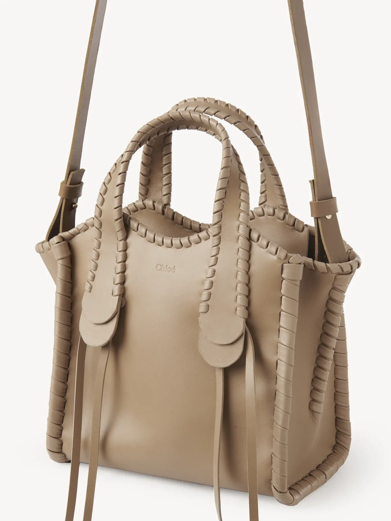 Women Chloé Small Mony Tote Bag