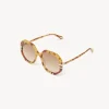 Women Chloé West Petite Sunglasses