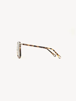 Women Chloé West Sunglasses
