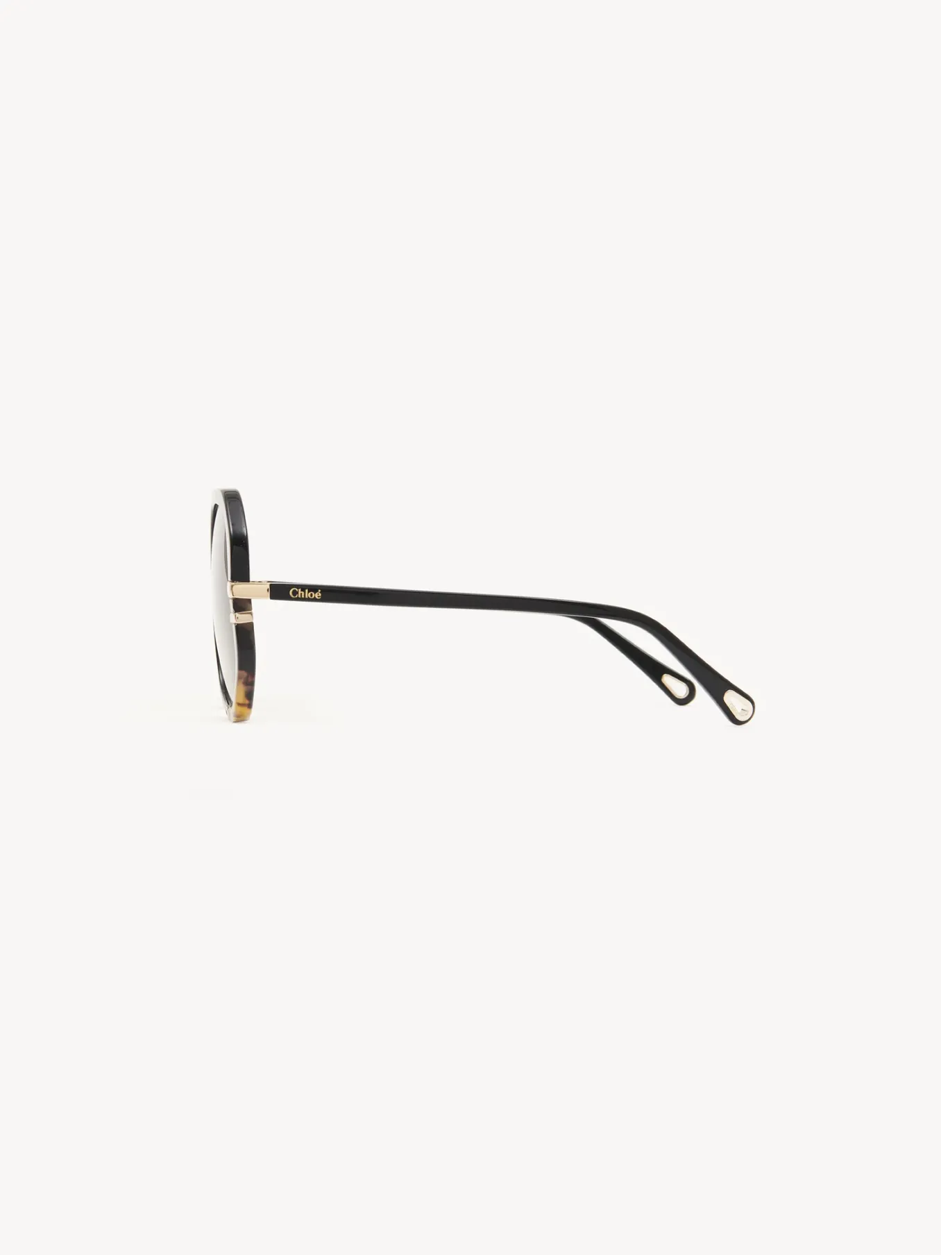Women Chloé West Sunglasses