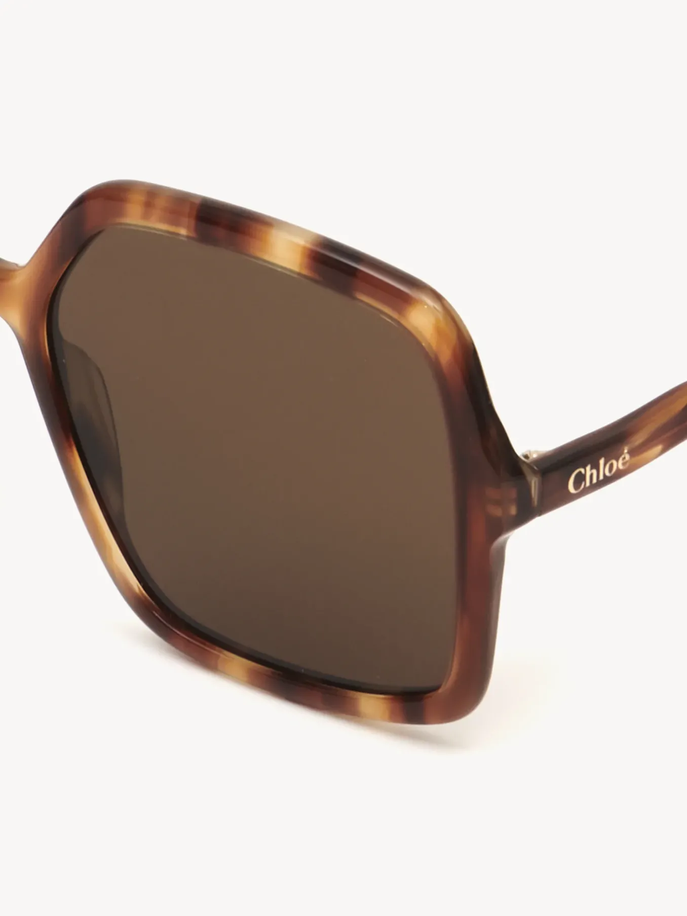 Women Chloé Zelie Sunglasses