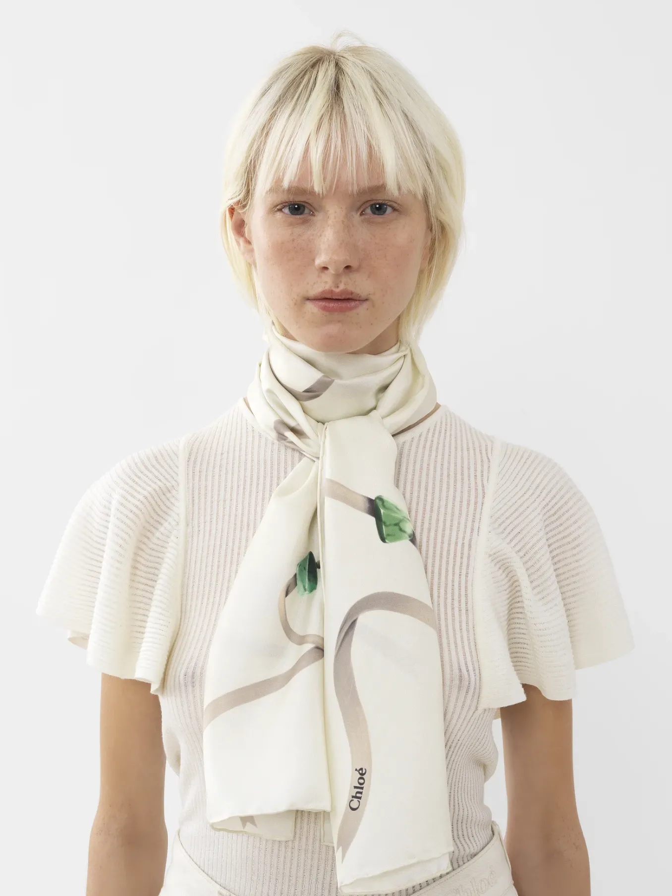Women Chloé Zodiac Earth Printed Scarf